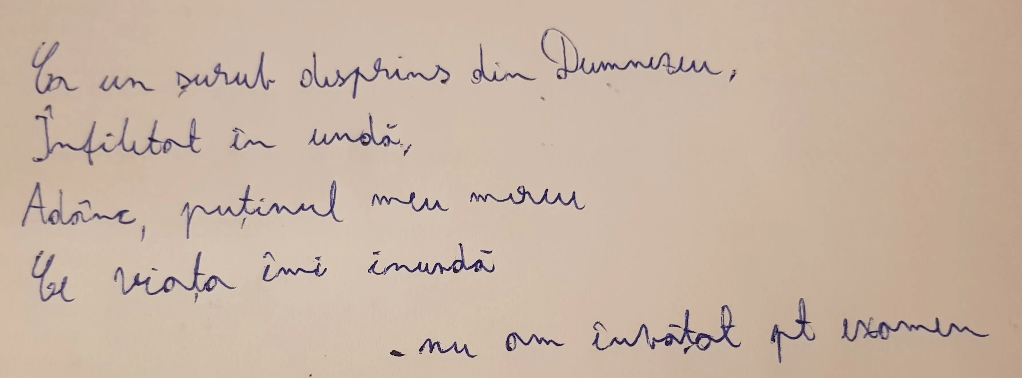 Algorithm Design exam, comment